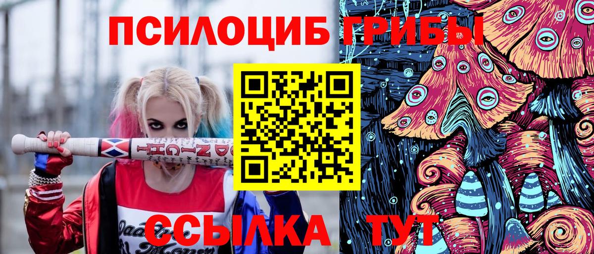 Галлюциногенные грибы Cubensis  Вход с VPN  Кольчугино 