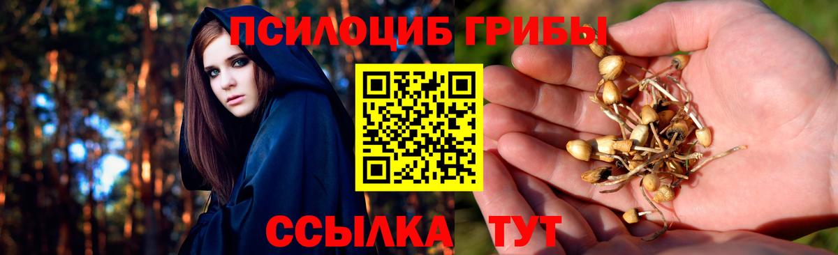 Галлюциногенные грибы мухоморы Кольчугино